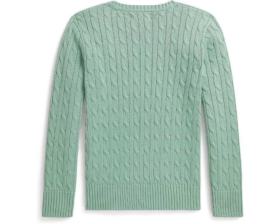 Свитер с косой из хлопка Polo Ralph Lauren Kids для детей