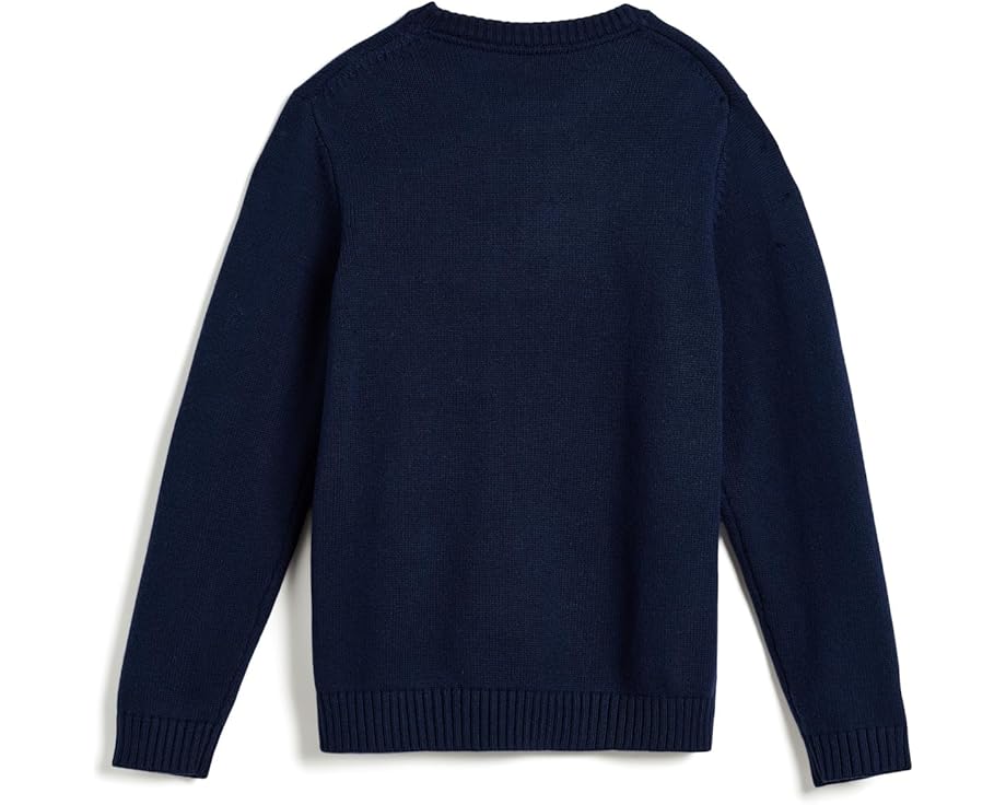 Интарсия свитер с флагом Intarsia Flag Sweater от Janie and Jack