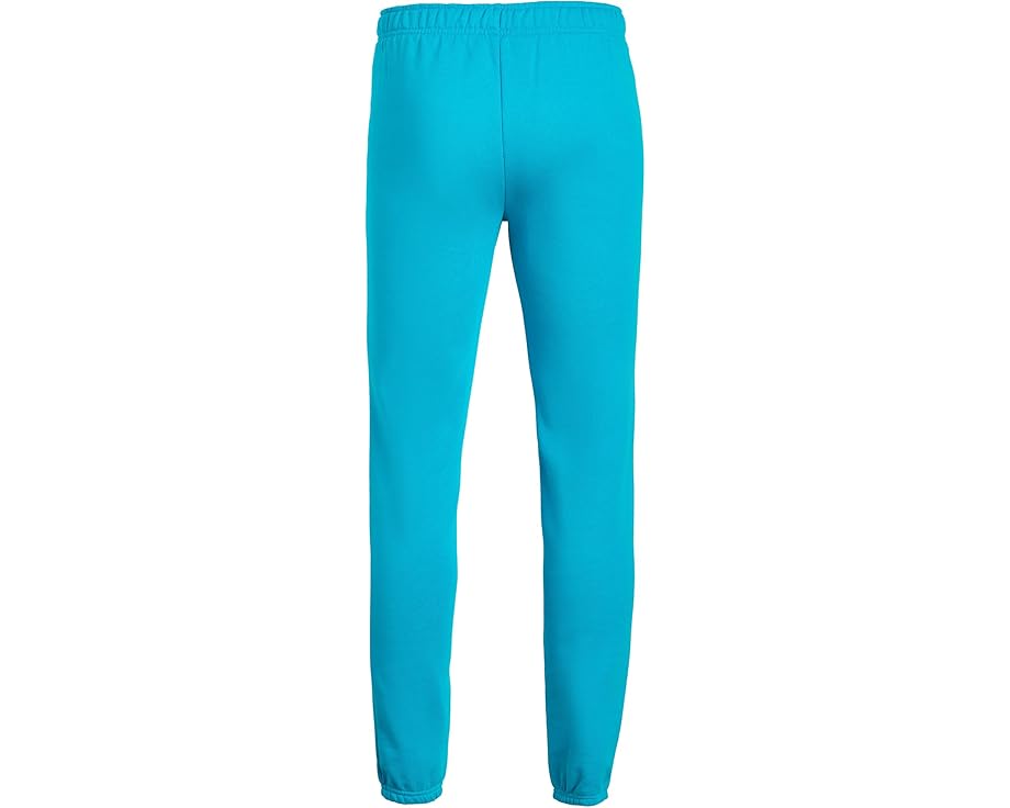 Штаны The North Face Kids Evolution Simple Dome из велюра
