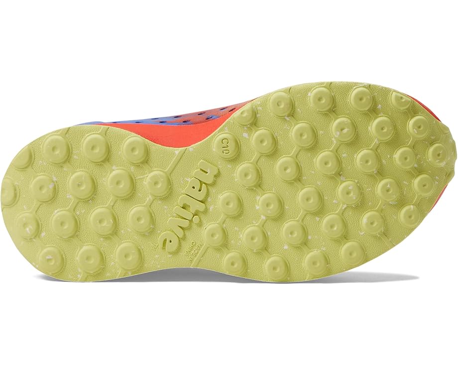 Детские кроссовки Native Shoes Robbie Print с принтом