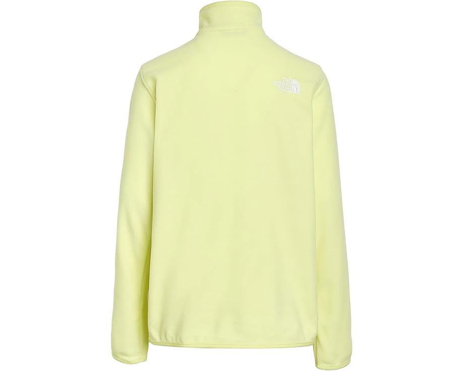The North Face Детская толстовка Glacier 1/4 Zip из флиса TKA 100