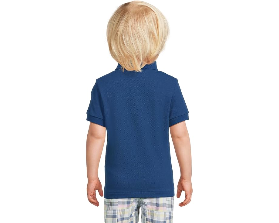 Детское поло Lacoste Petit Pique Polo из хлопкового пике
