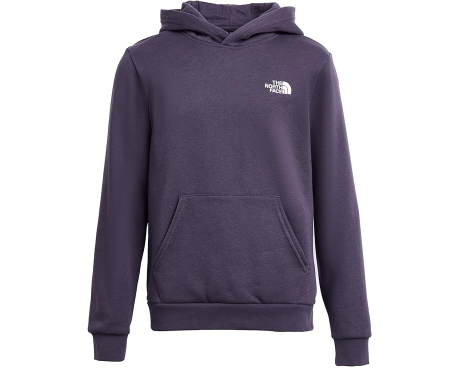 Худи The North Face Kids Evolution Simple Dome из переработанных материалов