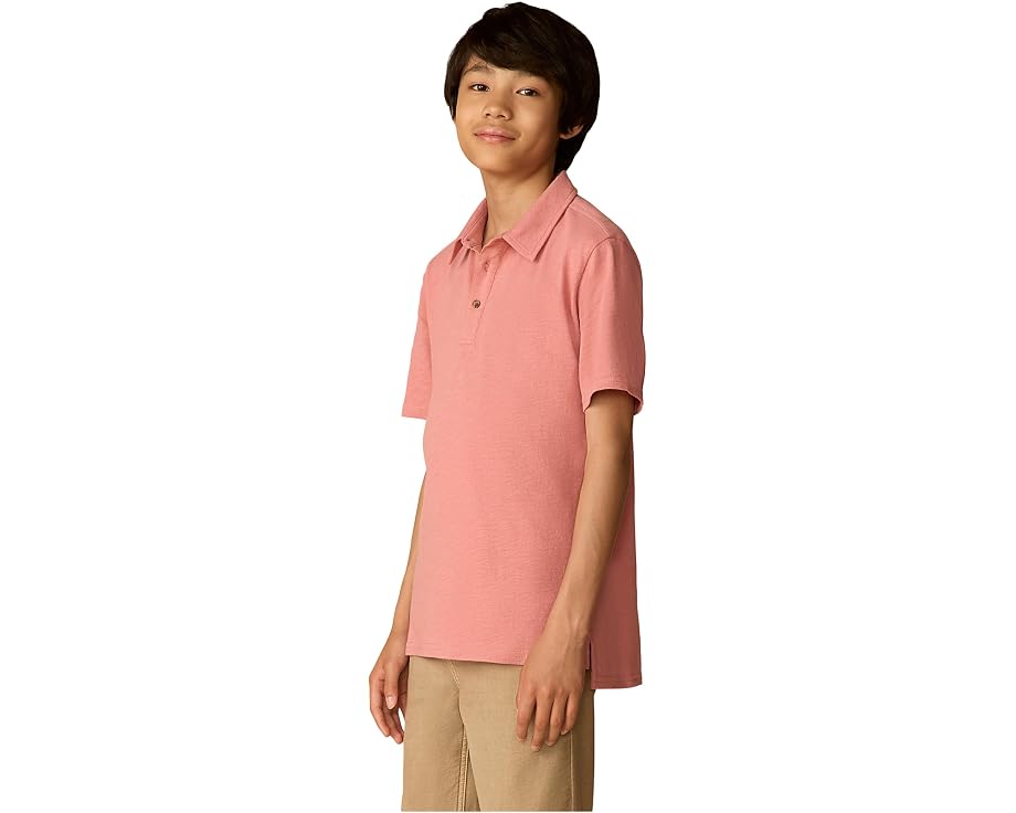 Поло Faherty kids Sunwashed T-shirt Polo для мальчиков