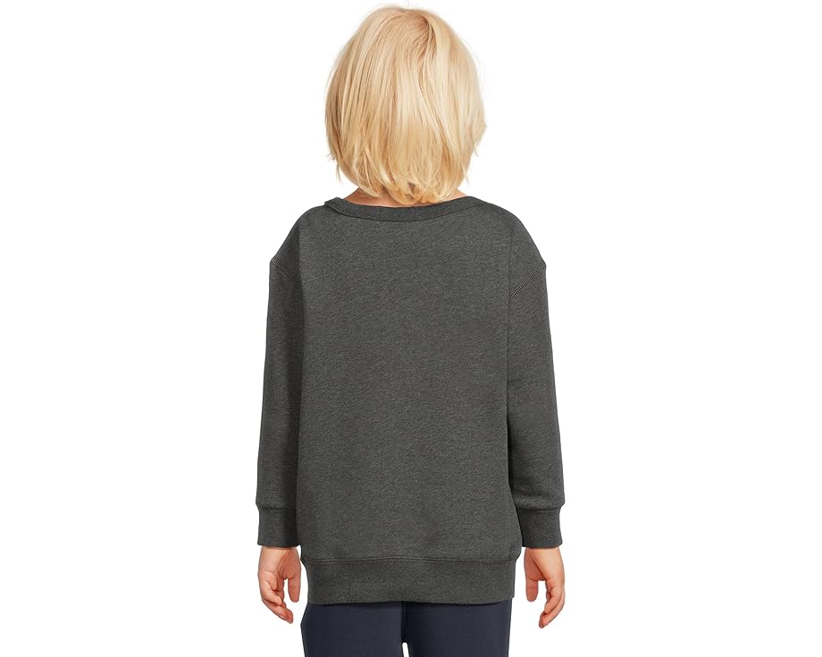 Толстовка Polo Ralph Lauren Kids из флиса с медвежонком для малышей и детей