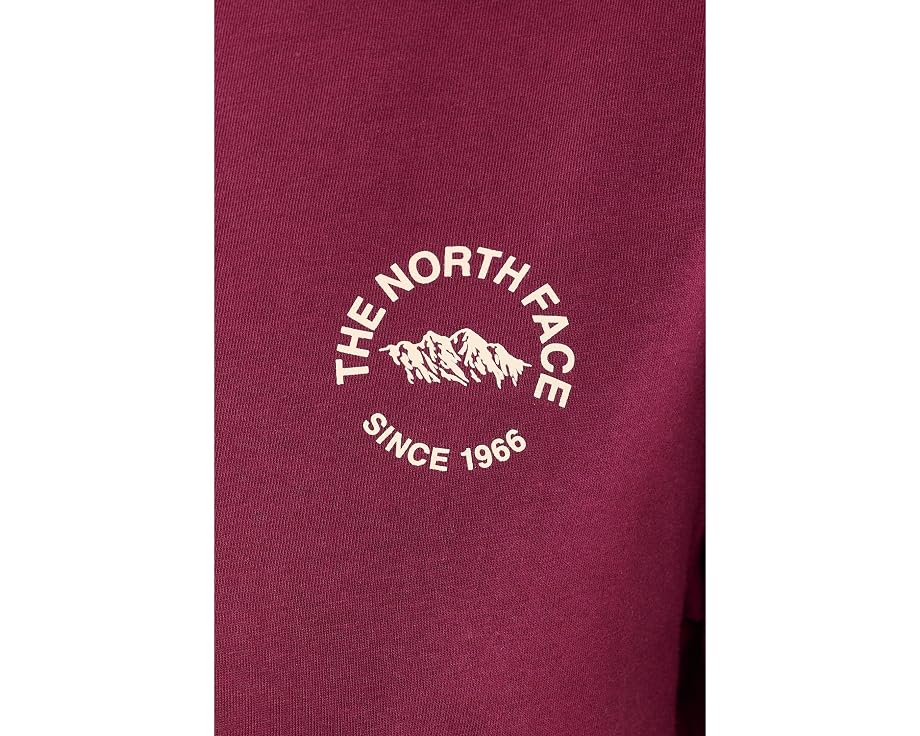 The North Face футболка Evolution TNF NSE Relaxed с коротким рукавом