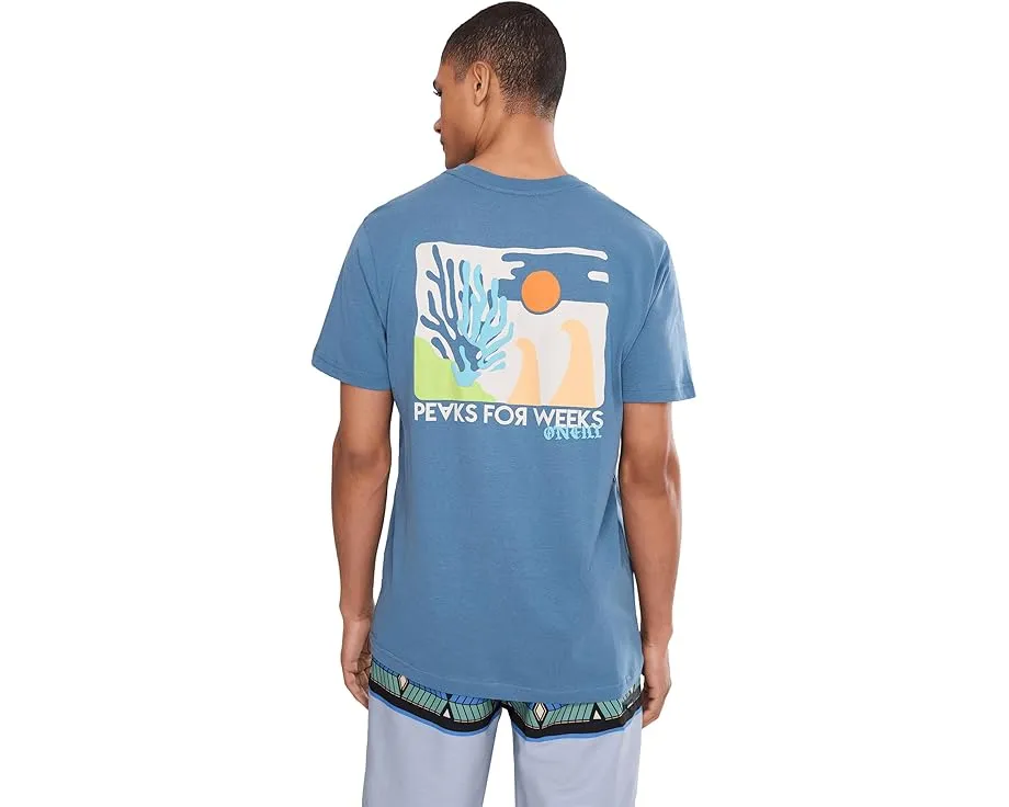 Футболка O'Neill Coral Short Sleeve Classic Tee с коротким рукавом Captain's Blue