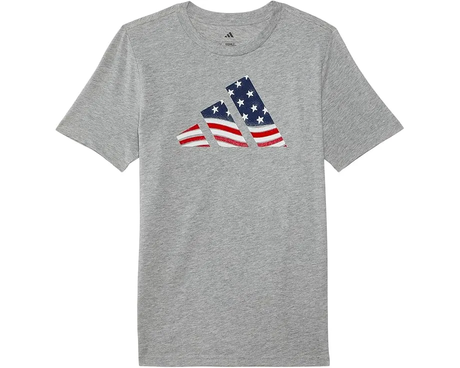 Футболка adidas Kids с логотипом флага США для мальчиков