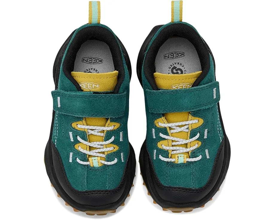 Треккинговые кроссовки KEEN Kids Jasper Zionic с контурной посадкой и защитной пяткой