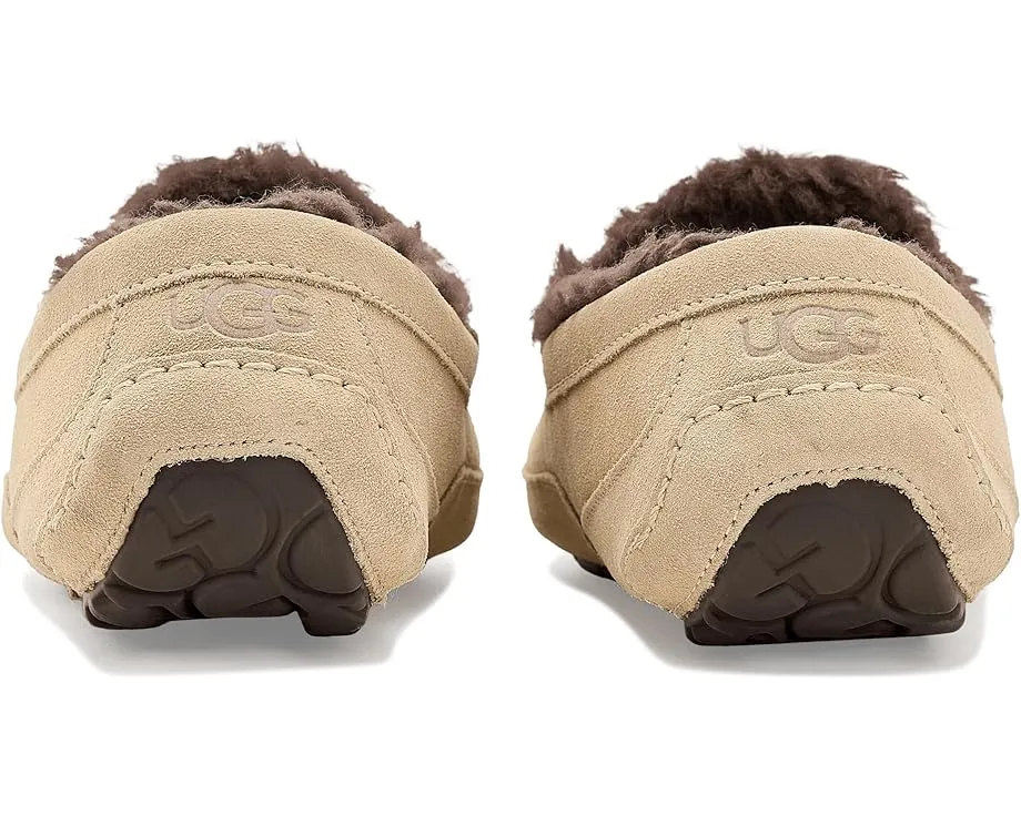 Тапочки UGG Ascot из натуральной замши с подкладкой UGGplush
