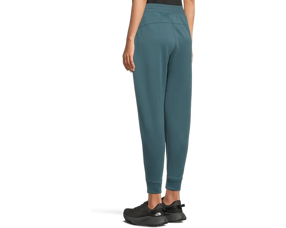 Флисовые спортивные брюки The North Face TNF Performance Fleece SW