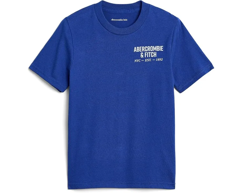 Футболка abercrombie kids с логотипом NYC Est 1892 Logo Tee