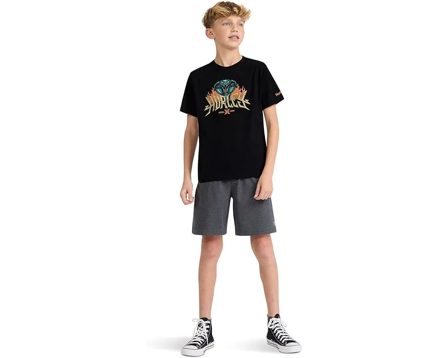 Hurley Kids футболка с коротким рукавом King Cobra с графикой для детей