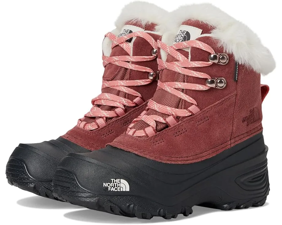 Детские непромокаемые ботинки для походов The North Face Shellista V