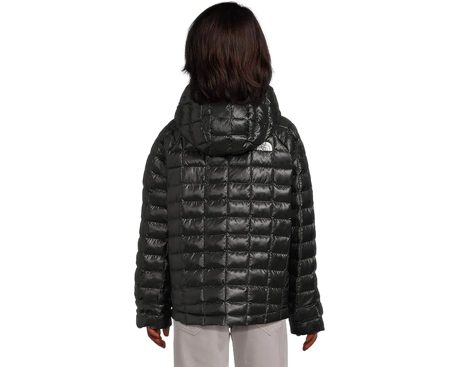 Детская утепленная куртка ThermoBall Hooded Jacket с капюшоном от The North Face Kids
