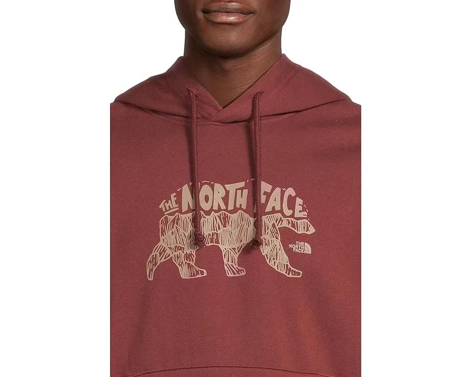 Толстовка The North Face Evolution TNF Bear с капюшоном и графикой