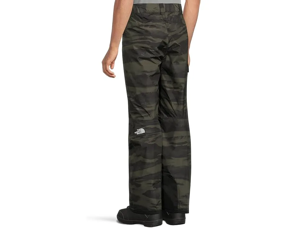 Брюки The North Face Freedom Pants Print с классическим кроем и карманами на молнии