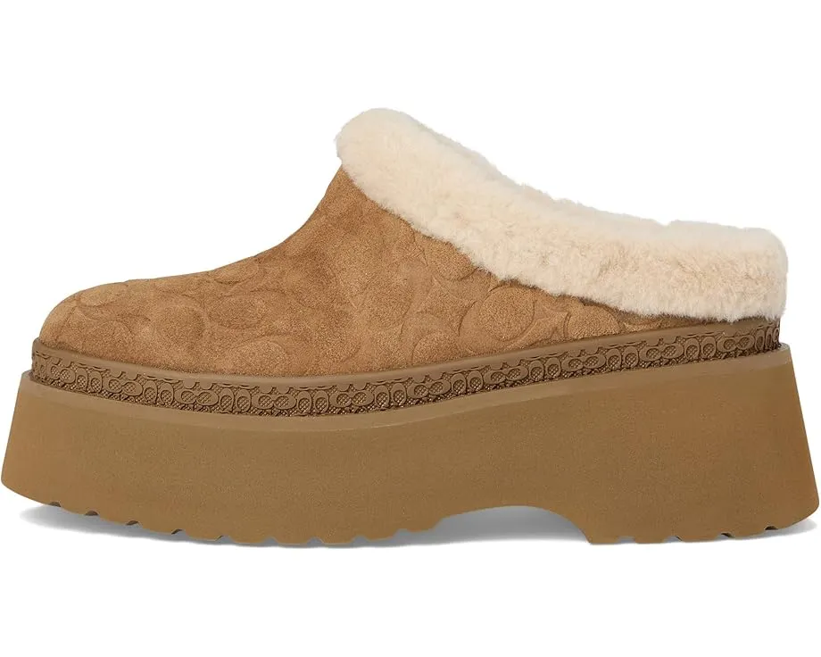 Сабо COACH Cecelia из замши с подкладкой из овчины