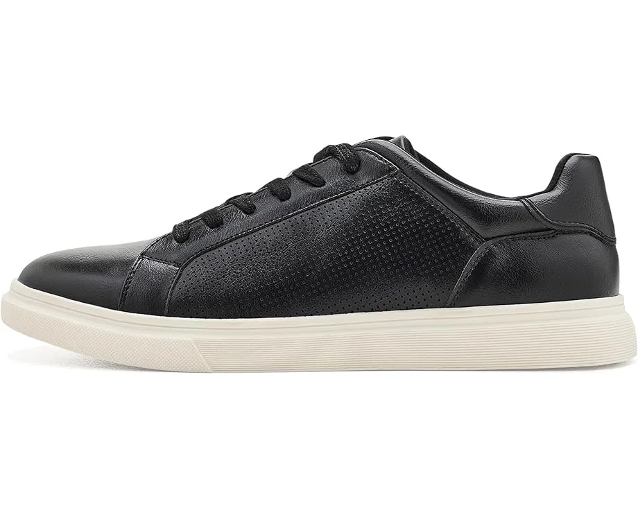 Кеды Steve Madden Philip черные на шнурках
