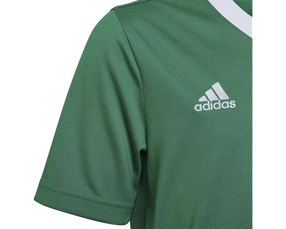Футболка Adidas Entrada22 Jersey для детей с технологией AEROREADY