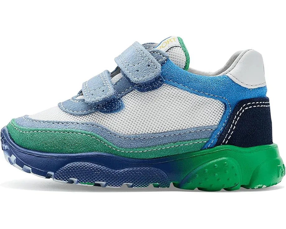 Naturino детские кроссовки Falcotto Amantea 2 VL для малышей и детей с кожаным верхом