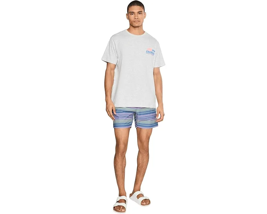 Плавки Chubbies The Blossom Bands 14 см в полоску с защитной подкладкой