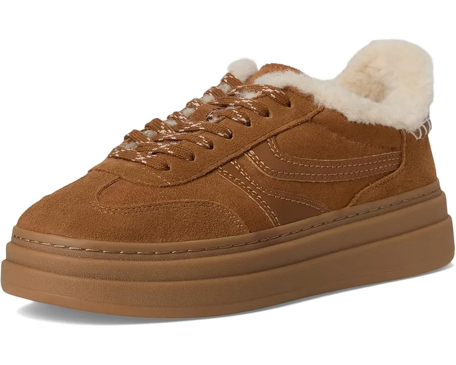Кроссовки Steve Madden Dodge из замши на шнуровке
