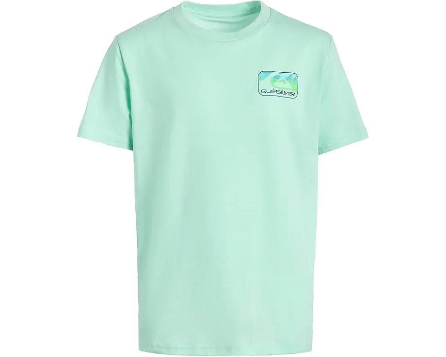 Quiksilver Kids Базовая футболка Core с коротким рукавом из хлопка