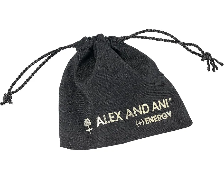 Браслет Alex and Ani Detroit Lions NFL