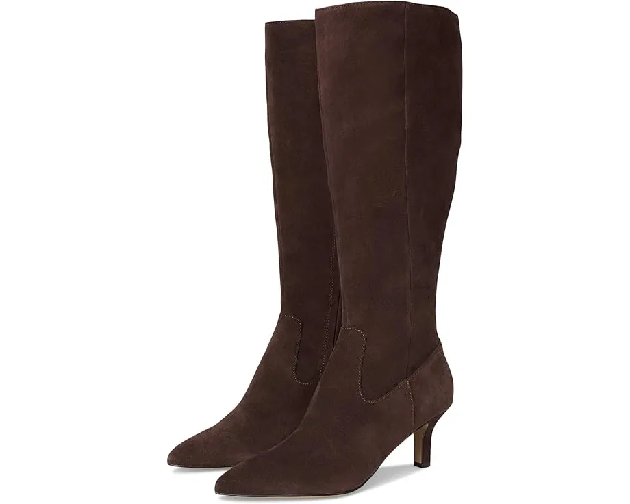 Высокие сапоги Attie H2O от Dolce Vita с острым носком и каблуком котенка