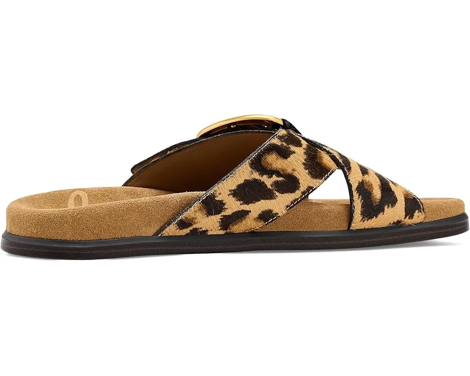 Сандалии Sam Edelman Darla с круглым открытым носком и пряжкой