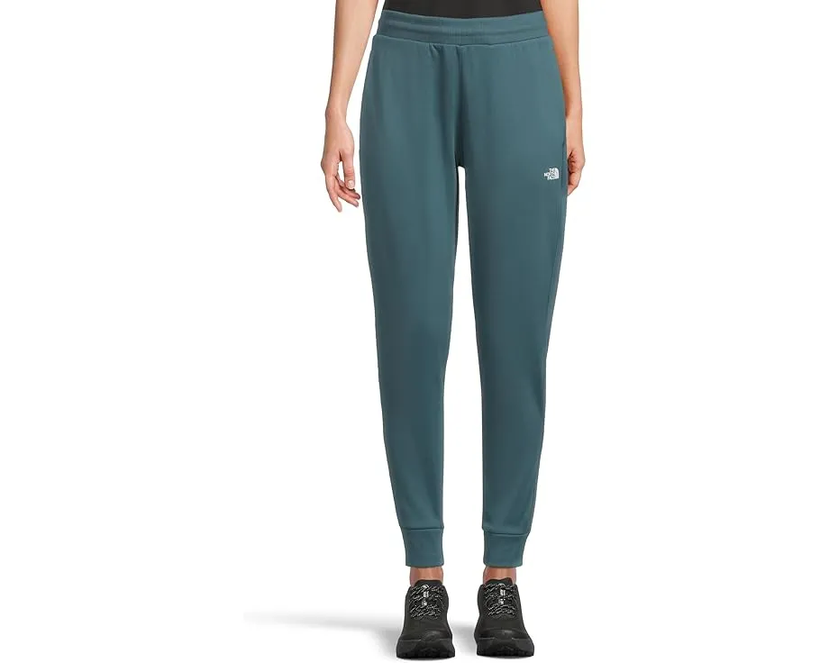 Флисовые спортивные брюки The North Face TNF Performance Fleece SW