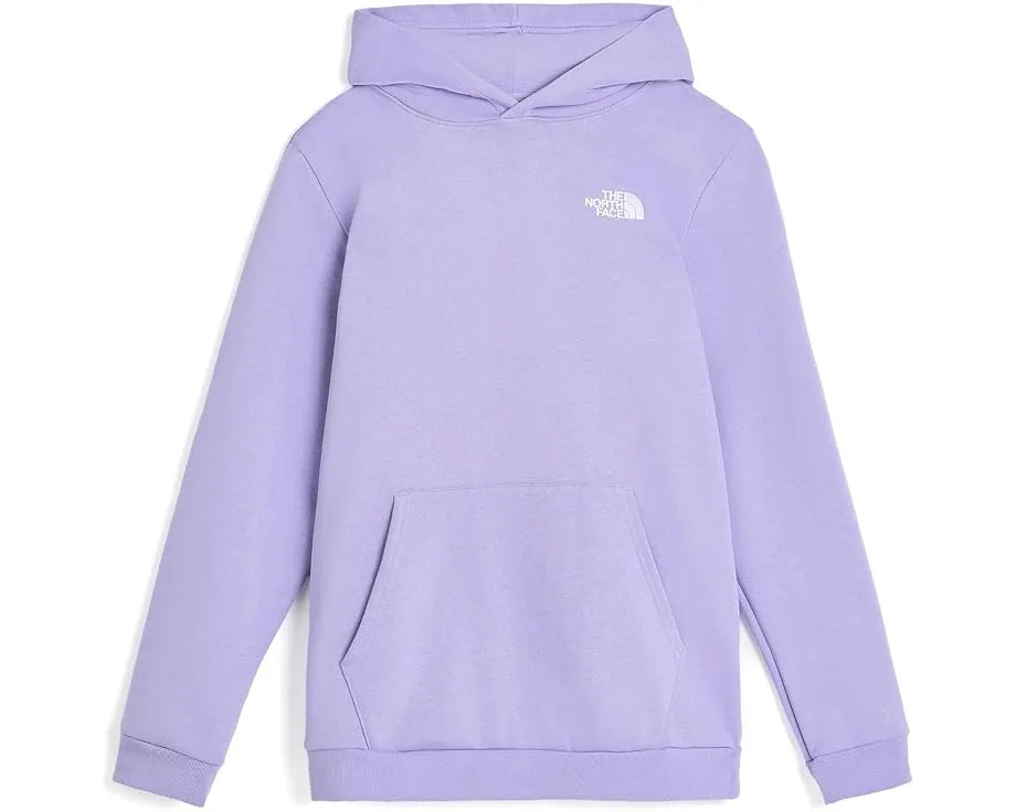 Худи The North Face Evolution Box NSE с капюшоном для детей