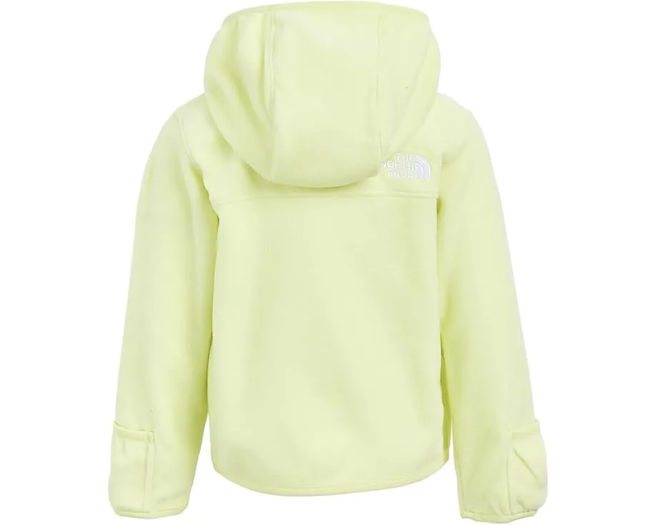 Детская толстовка The North Face Glacier с капюшоном и молнией