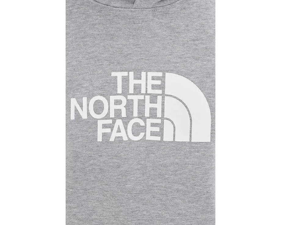 Худи The North Face Evolution Half Dome с принтом