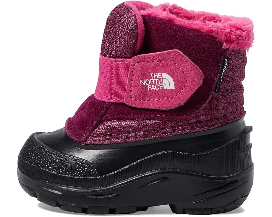 Детские зимние ботинки The North Face Kids Alpenglow II для малышей