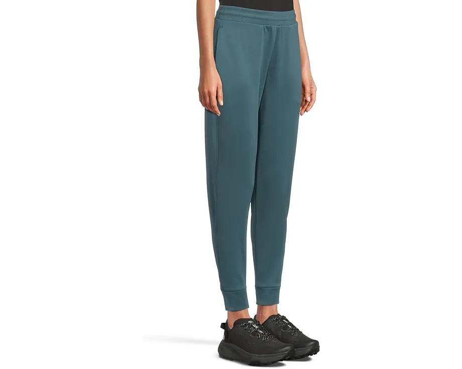 Флисовые спортивные брюки The North Face TNF Performance Fleece SW