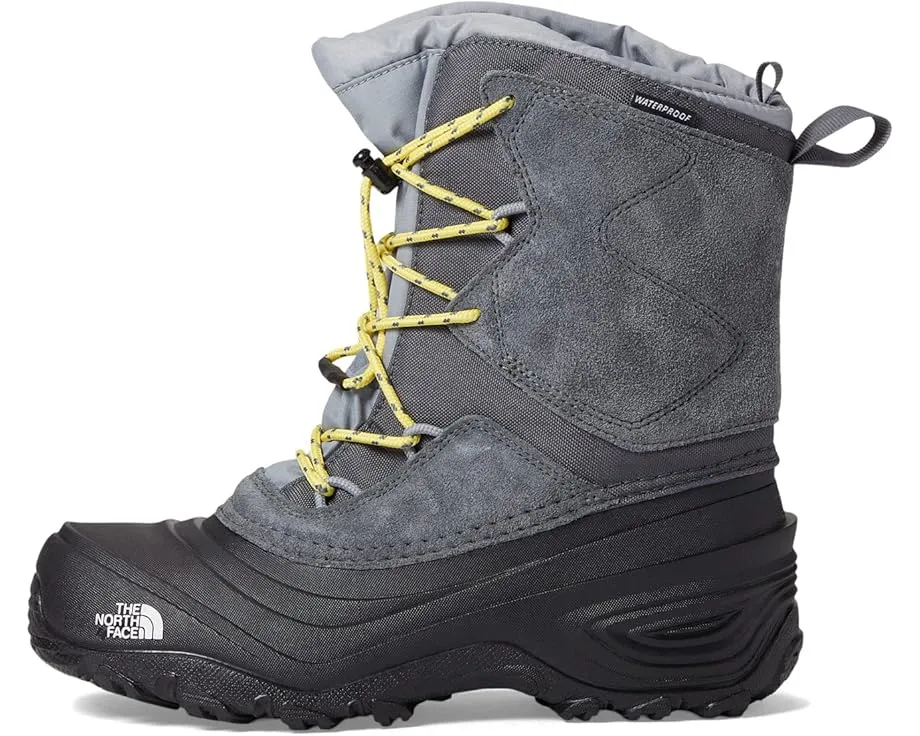 Детские водонепроницаемые ботинки The North Face Alpenglow V на шнурках-резинках