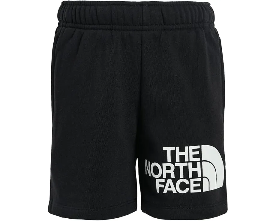 Шорты The North Face Kids Evolution Half Dome длиной 5 дюймов