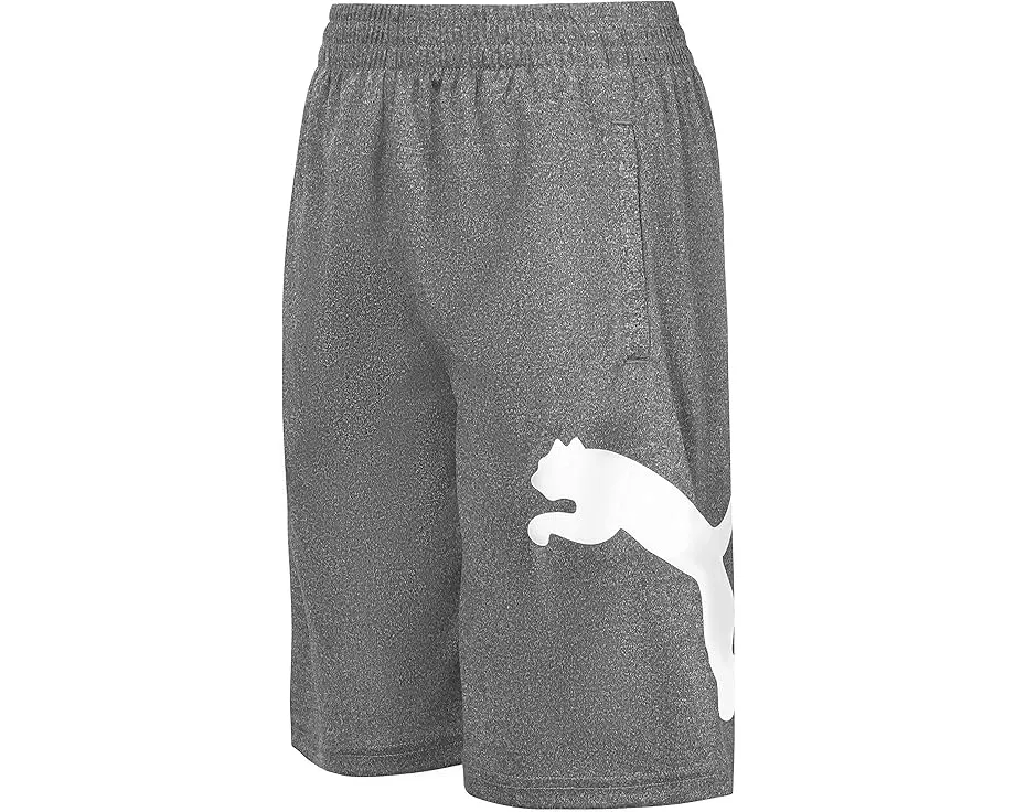 Спортивные шорты Boys Core Essential Puma