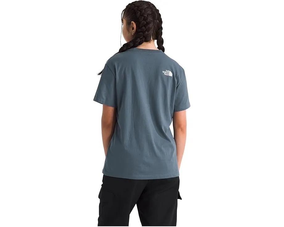 Футболка The North Face Evolution Half Dome с коротким рукавом