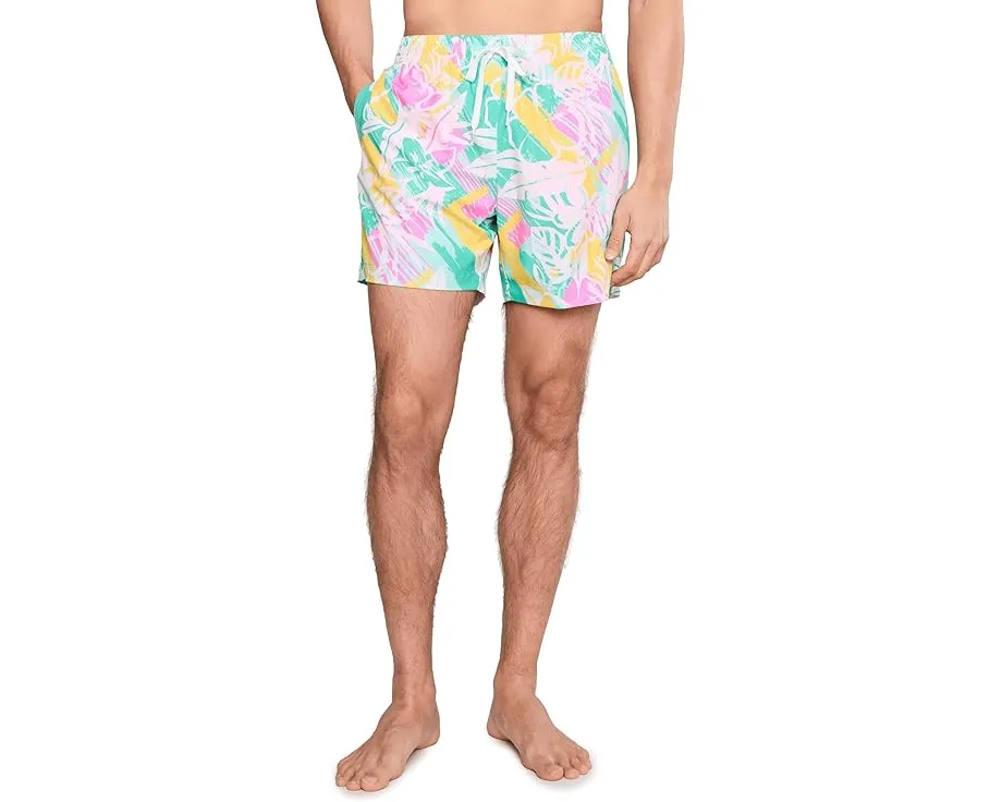 Плавательные шорты Chubbies Baja Breezies 5.5 дюймов на подкладке