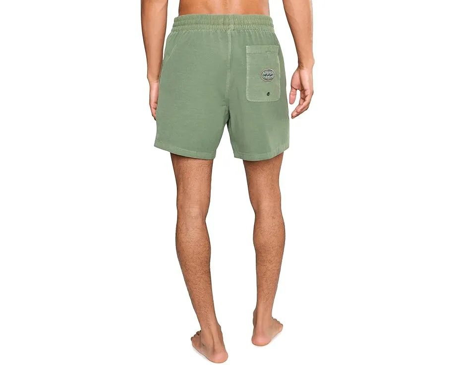Плавательные шорты Billabong Every Other Day WW LB серого цвета