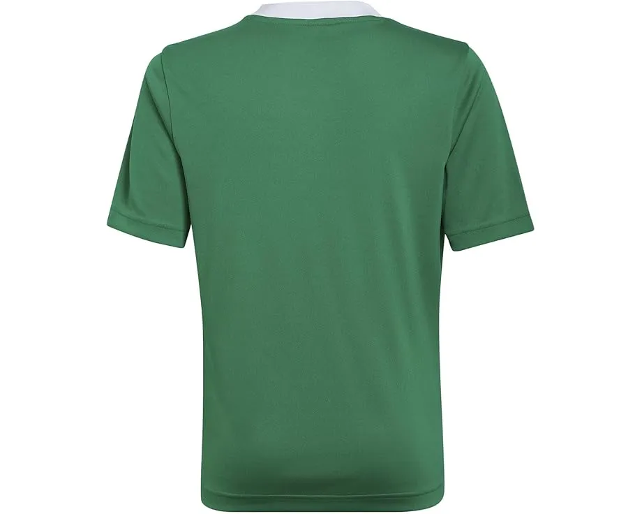 Футболка Adidas Entrada22 Jersey для детей с технологией AEROREADY