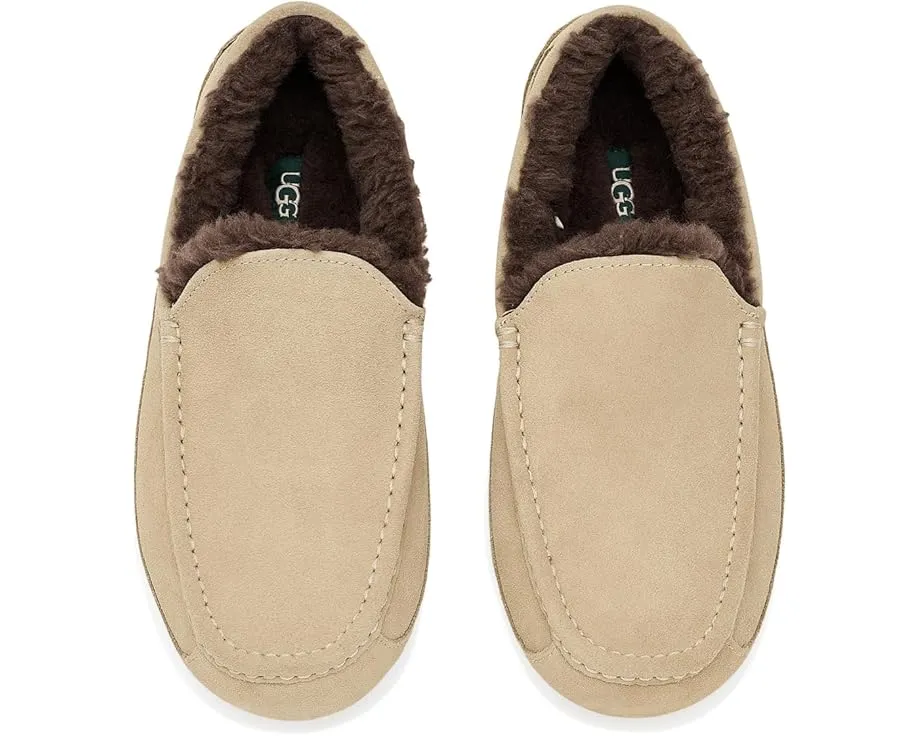 Тапочки UGG Ascot из натуральной замши с подкладкой UGGplush