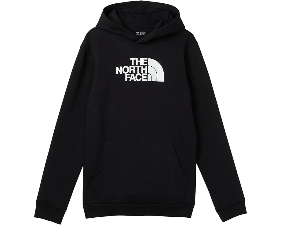 Толстовка The North Face Kids Evolution Half Dome с капюшоном и принтом
