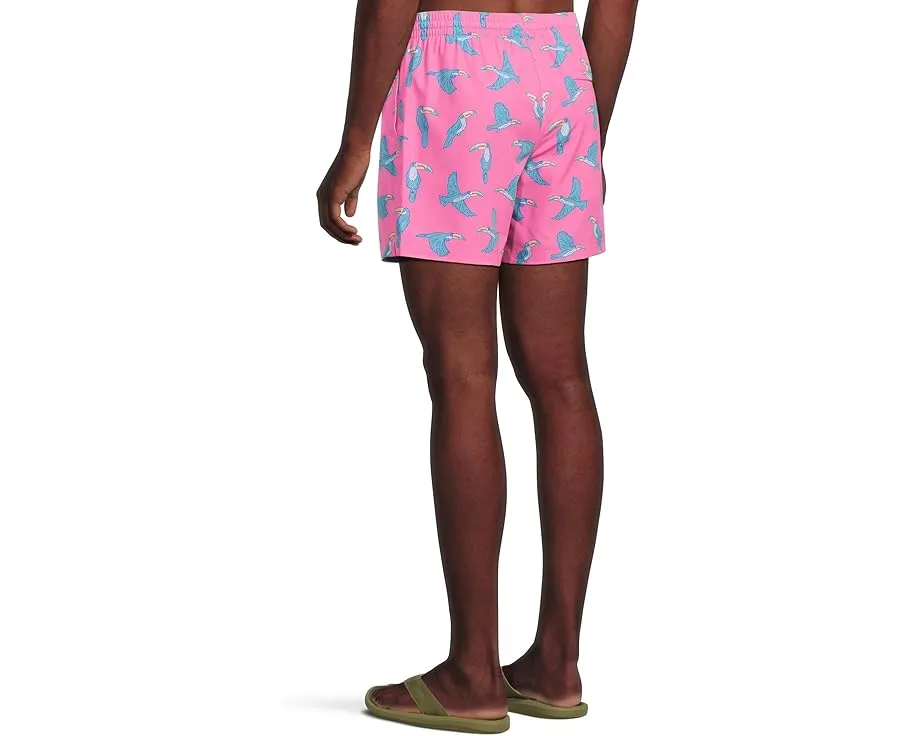 Плавки Chubbies The Toucan Do Its 5.5 дюймов (14 см) с подкладкой и карманом на молнии