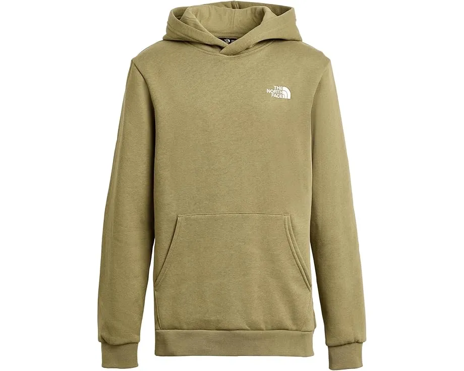 Худи The North Face Kids Evolution Simple Dome из переработанных материалов