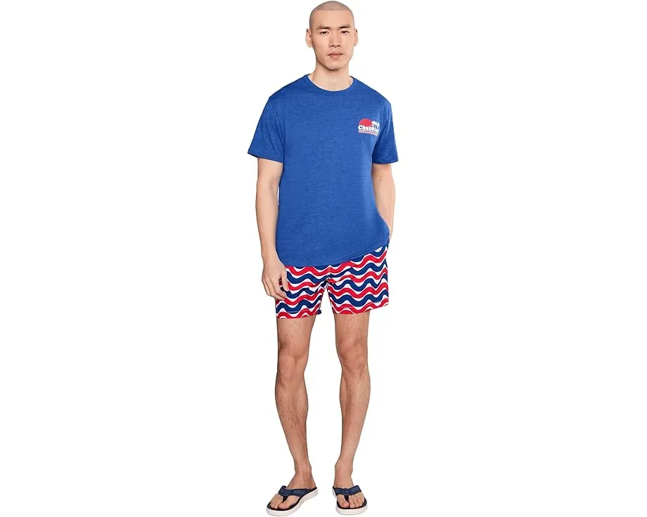 Плавки Doodle Dances 5.5 дюйма на подкладке Chubbies