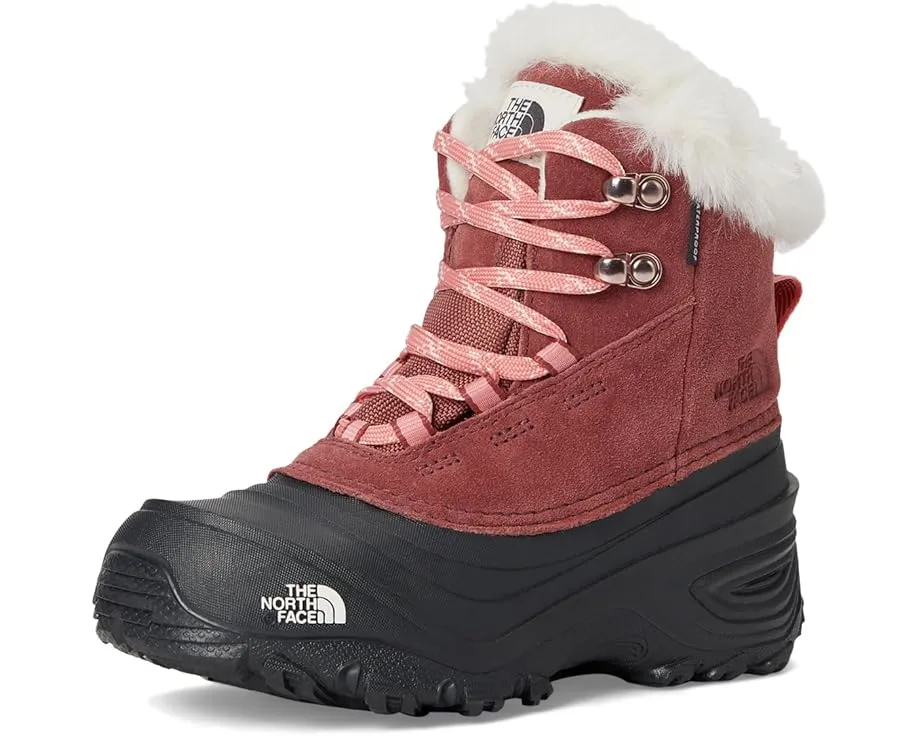 Детские непромокаемые ботинки для походов The North Face Shellista V